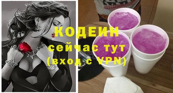 шишки Абаза