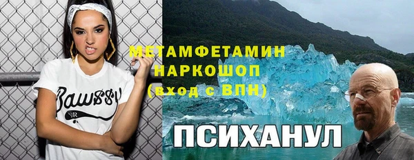 шишки Абаза