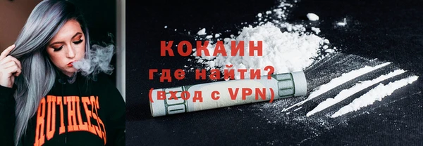 шишки Абаза